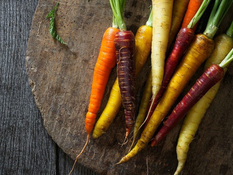 Variété de carottes