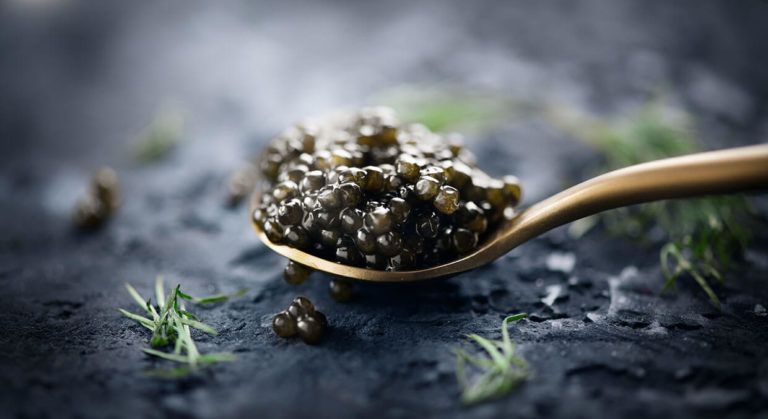 Caviar dans une cuillère